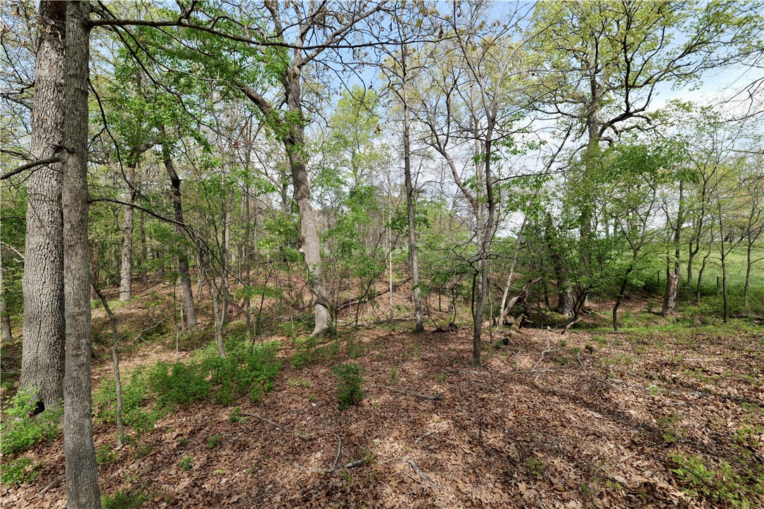 Ozark Estates - Land