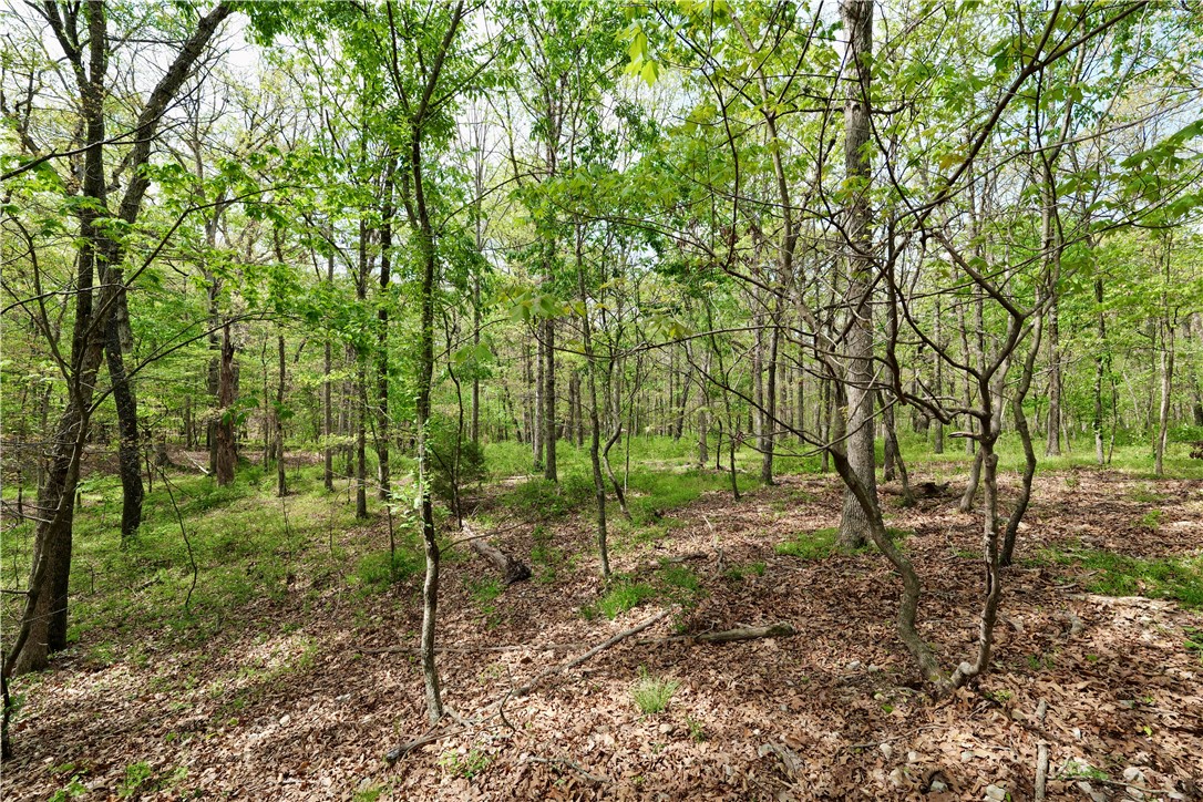 Ozark Estates - Land