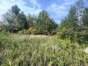 OUTLOTS C 07-09-23 - Land