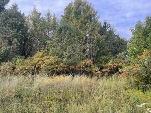 OUTLOTS C 07-09-23 - Land
