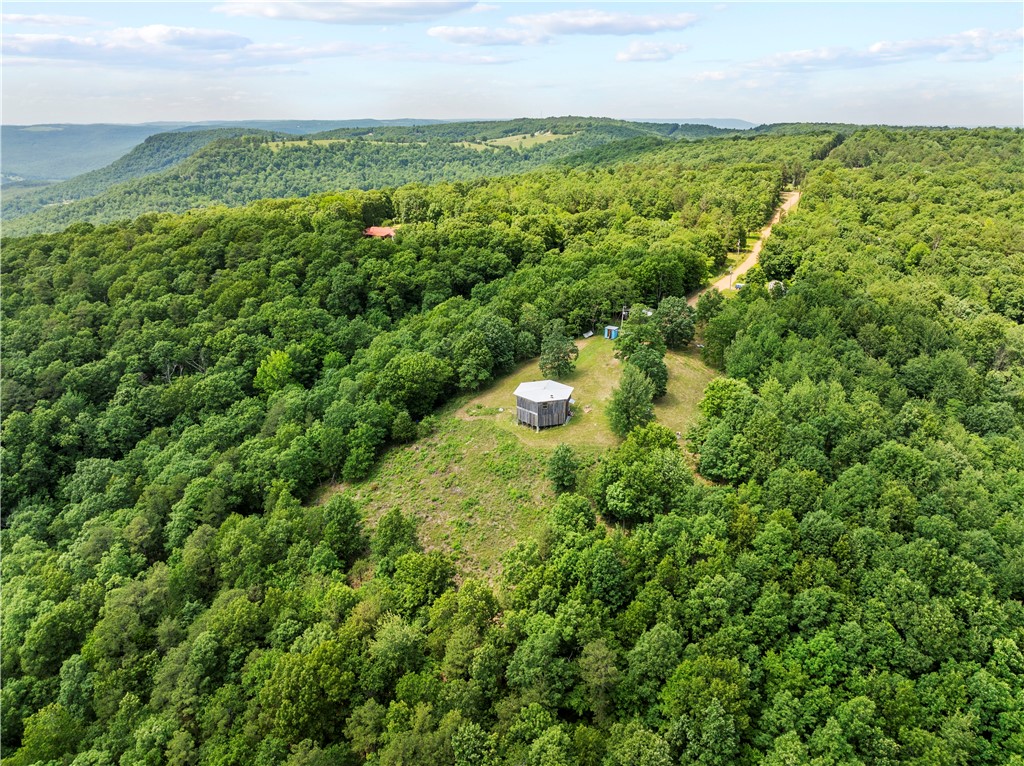 Breathtaking views and endless possibilities await just outside Jasper, AR! Perched atop 8 private acres, this unique hexagonal home offers a truly one-of-a-kind setting with panoramic mountain views and seasonal creek that will leave you speechless. Whether you're sipping your morning coffee or enjoying a sunset, the scenery is simply unmatched.
The home itself is a blank canvas—ready for your vision and creativity to transform it into the perfect mountain retreat, full-time residence, or weekend getaway. The two outbuildings offer extra storage and workshop space. Plus, there's an RV hookup on site—perfect for visitors or your own travel lifestyle.
If you've been dreaming of space, serenity, and views that inspire, this is the property for you!