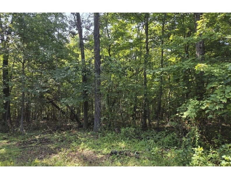 Tilton Sub Bvv - Land