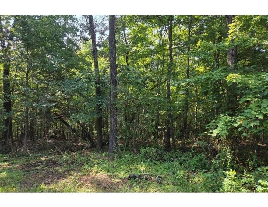 Great opportunity to secure a build-ready lot in the Gravette School District. The property has already undergone soft clearing to open up the homesite while maintaining natural surroundings, and a septic permit has been approved.