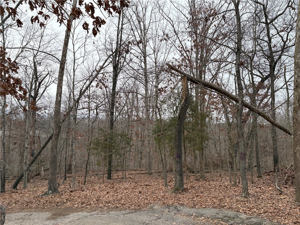 Glasgow Sub Bvv - Land