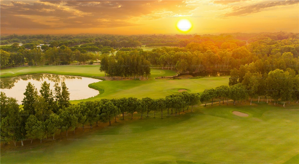 GARDENSTOWN SUB-BVV - Land