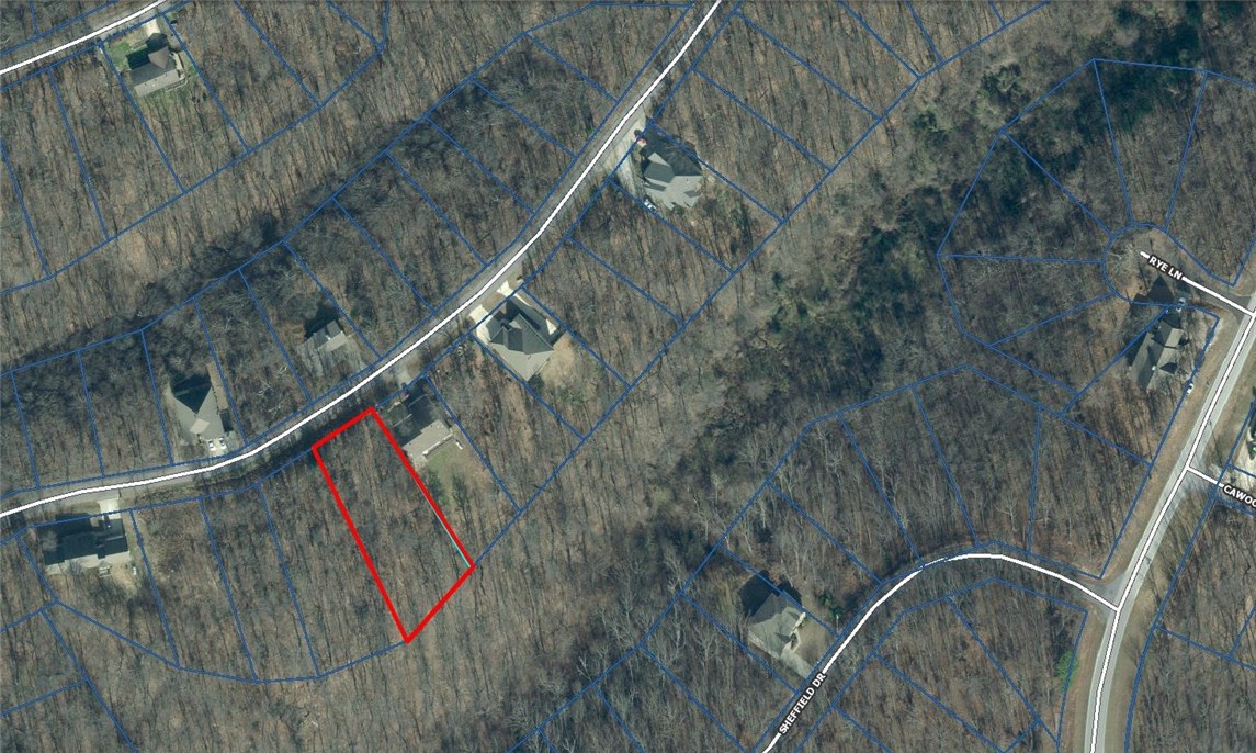 Great wooded lot to build your dream home in beautiful Bella Vista.