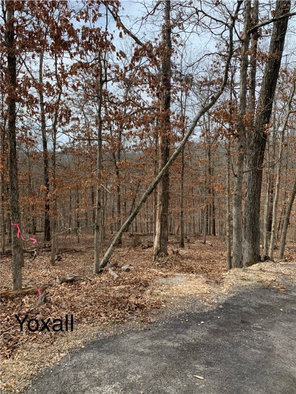 Beautiful Lot, in a superior location and READY TO BUILD your 4-bedroom home. Perc'd, surveyed, soft cleared and Septic Permit will be transferred to new owner. Purchase includes floor plan for a 2276 sq ft 4-bedroom walk-out basement design, or fit your own plan. Save 4 months of prep work! Lot is located on a quiet cul-de-sac with a wooded view of common property. Just a few minutes from Kingsland or Metfield Golf Courses and Rec Centers, Blowing Springs Greenway, access to Mountain Bike Trails, local retail and Allen's or Harps. Quick access to 1-49 and all that NWA has to offer. Build in Bella Vista and enjoy access to resort-like amenities all year long. If you are anxious to get started on your new home, check out this opportunity, you won't be disappointed! Bentonville schools.
