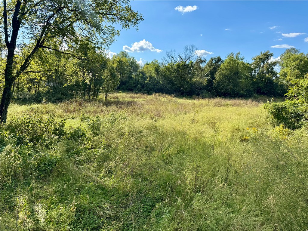 Tontitown Outlots 2000 Annex - Land