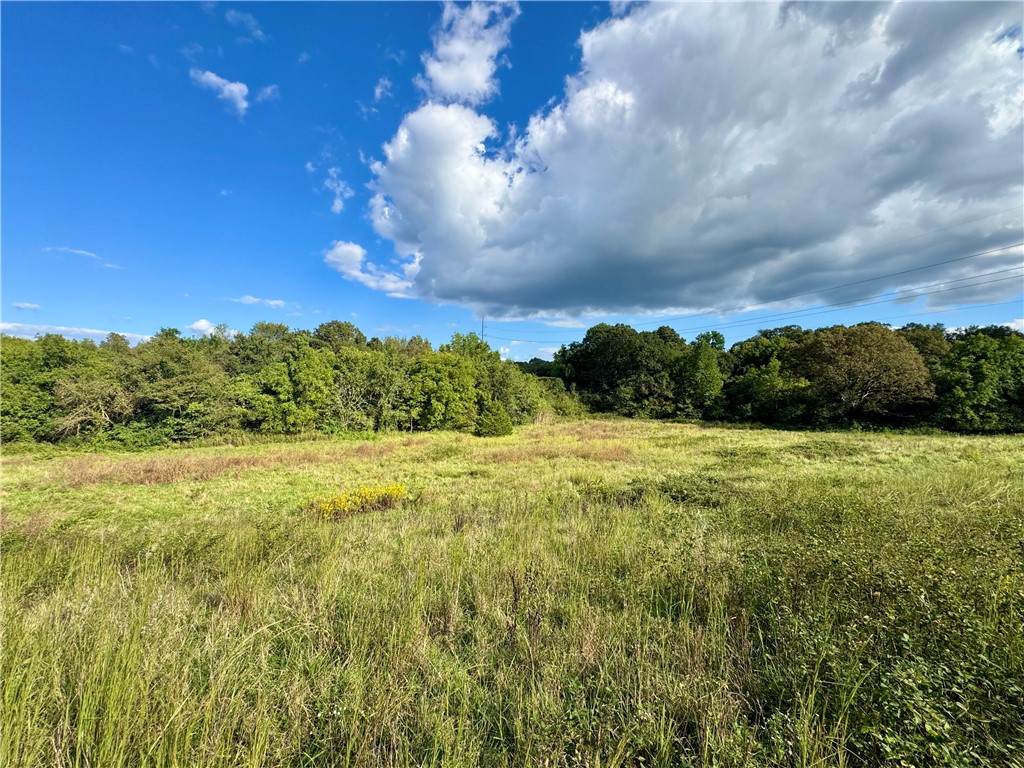 Tontitown Outlots 2000 Annex - Land