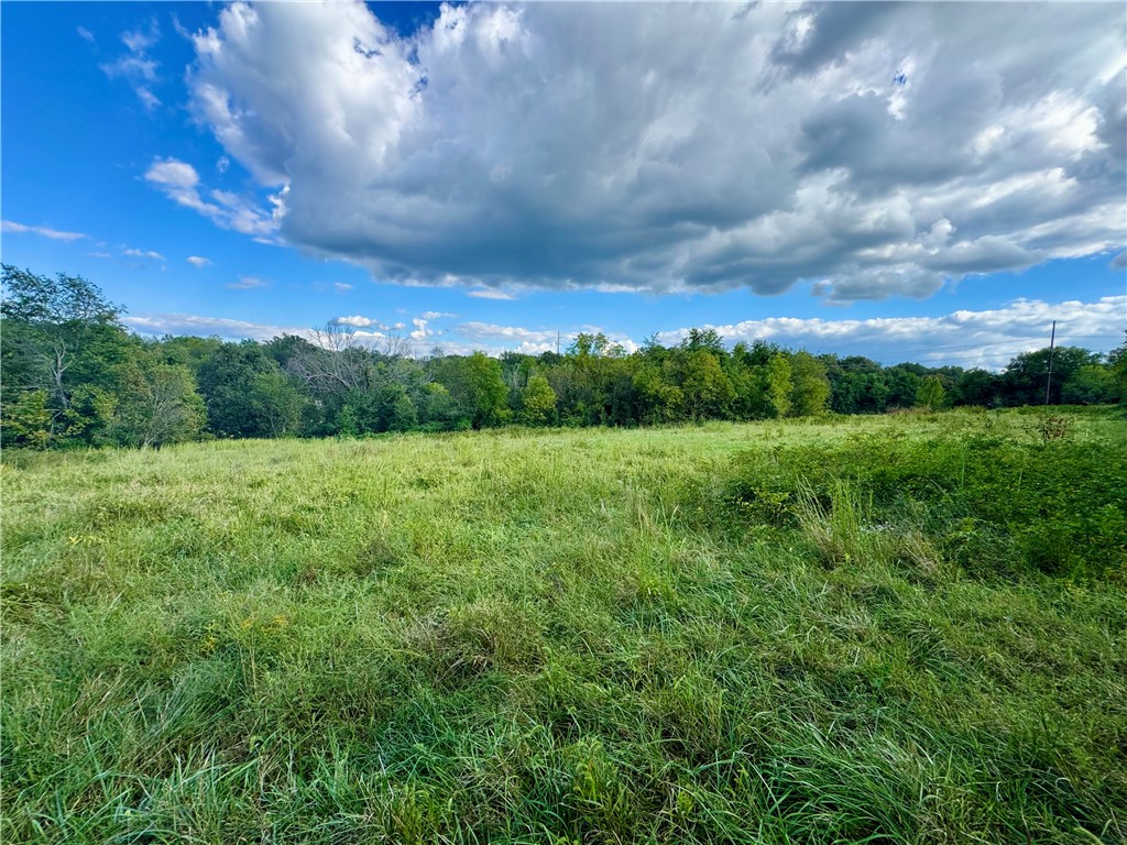Tontitown Outlots 2000 Annex - Land