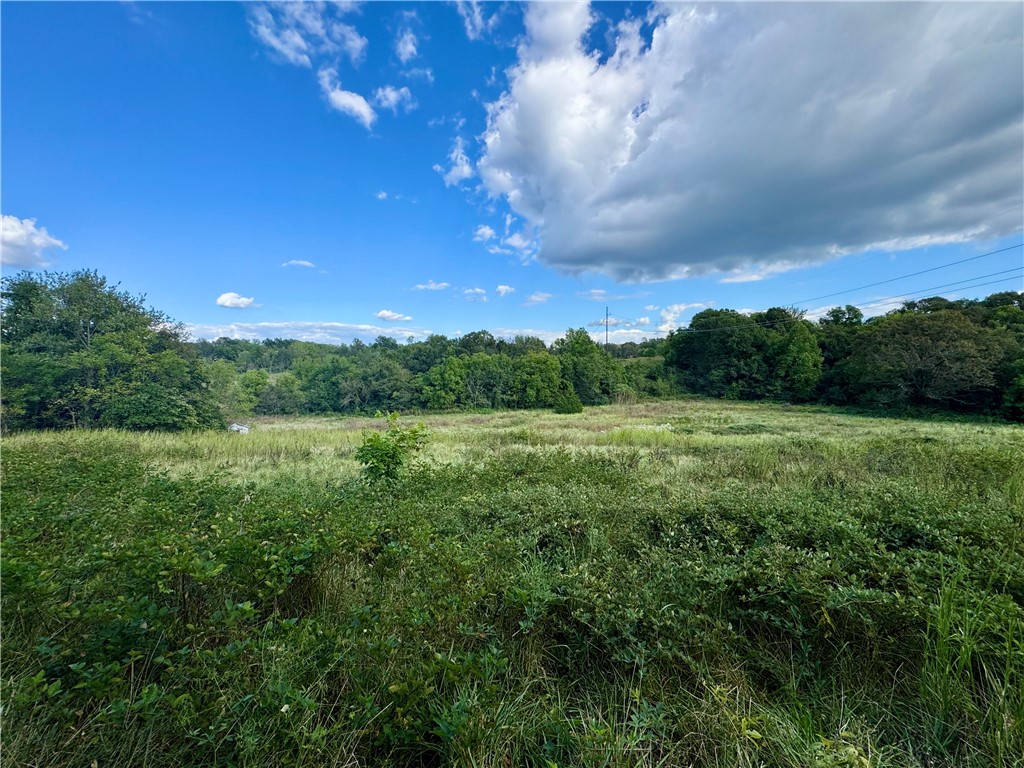 Tontitown Outlots 2000 Annex - Land