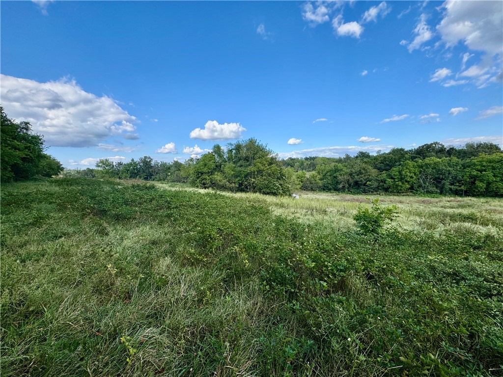 Tontitown Outlots 2000 Annex - Land