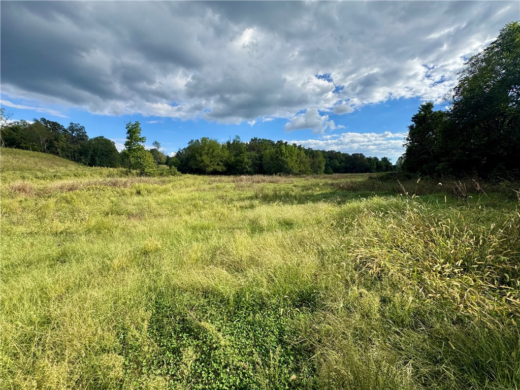 Tontitown Outlots 2000 Annex - Land