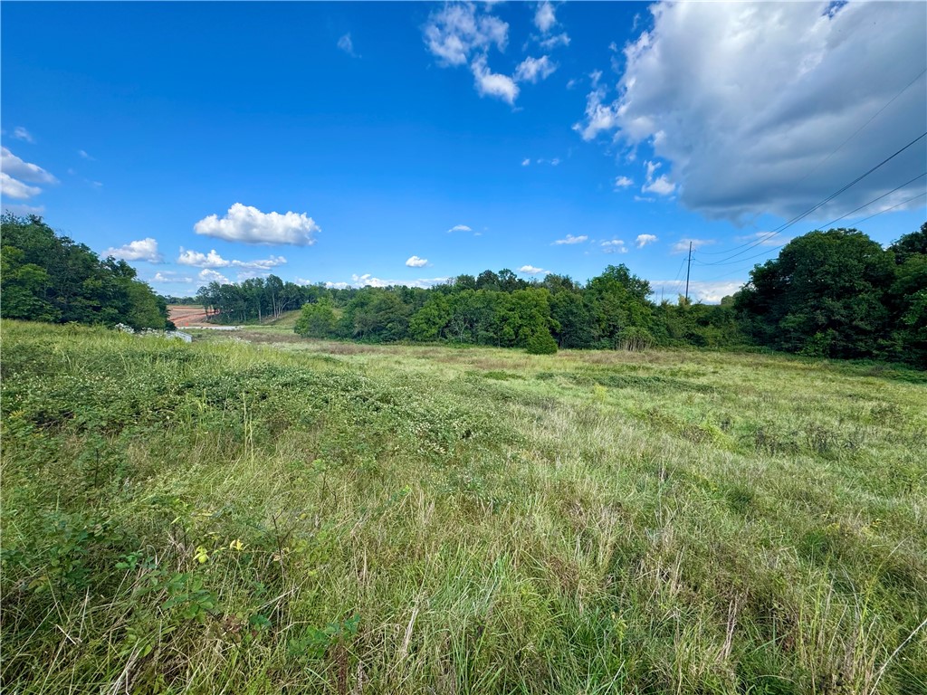 Tontitown Outlots 2000 Annex - Land