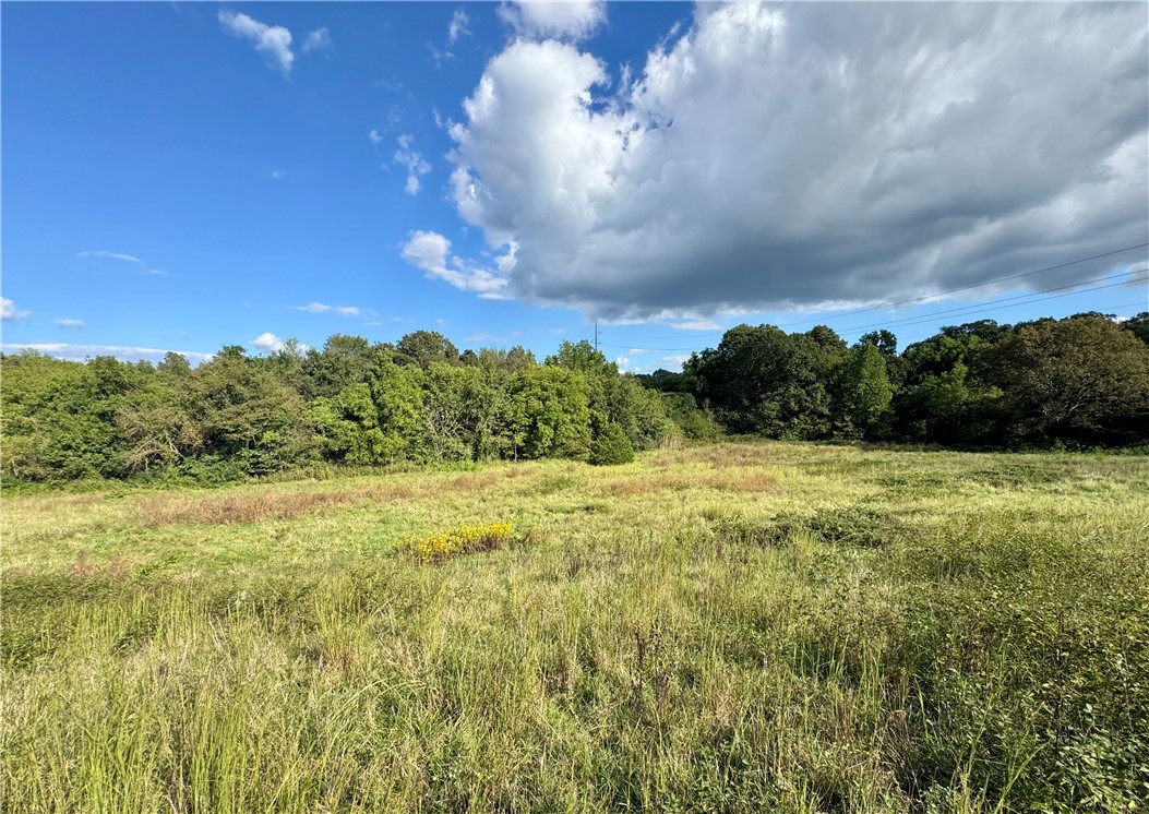 Tontitown Outlots 2000 Annex - Land