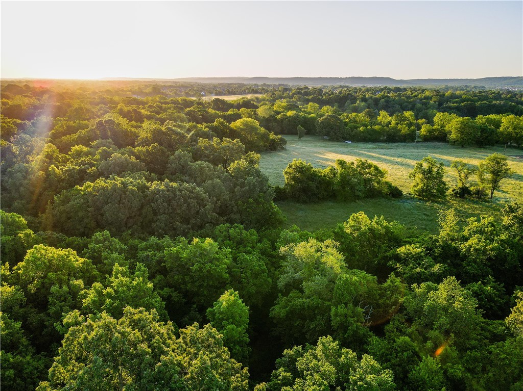 Perfectly situated within the Fayetteville city limits yet seemingly a world away, this property offers the rare combination of convenience and seclusion. While just moments from every amenity the seclusion afforded by the rolling meadows and tranquil woodland create an illusion of being miles from civilization.
As you wander through the property, you can't help but be captivated by the sheer beauty of the land that surrounds you. Pasture stretches and rolls offering tremendous views. The gentle slope of the terrain combined with road frontage on both the East and West sides, afford numerous build sites that will enjoy the rolling meadows and large mature timber.
Just off of Wedington Road, this property offers a premier location to build your dream home on 20 pristine acres while easily enjoying all NWA has to offer.