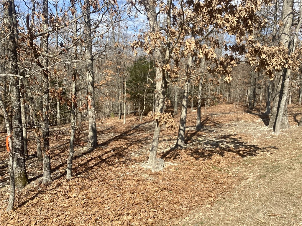 Kirkcudbright Sub Bvv - Land