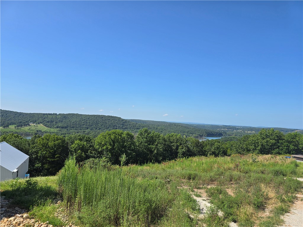STUNNING VIEWS! NO RESTRICTIONS! NO HOA! Here is the perfect build site for your vacation home, or nightly rental investment property. These lots are in an area of very successful nightly rentals, and have a great proximity to area attractions. They are less than a mile from Cricket Creek Marina, 10 minutes from Big Cedar and Top Of The Rock, and 20 minutes to the heart of Branson. Don't miss the perfect spot for your vacation home or investment property!