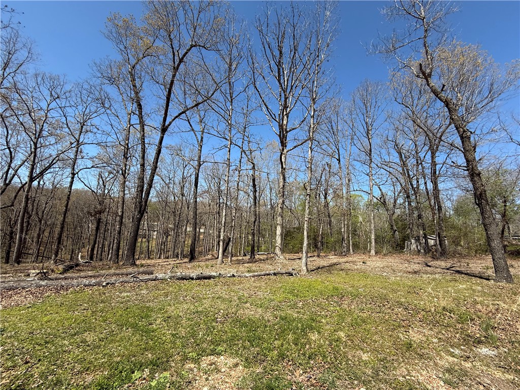 Looking for the perfect place to build your dream home or getaway retreat? This beautiful 1.5-acre wooded lot offers the ideal blend of privacy and convenience, located just 4 miles from town and within close proximity to Withrow Springs State Park. Surrounded by nature, this lot is perfect for those who appreciate outdoor activities and the serenity of a wooded setting.
With electric service and public rural water available at the street, the property is ready for your vision. The gently sloping terrain provides ample opportunities for building, gardening, or simply enjoying the natural beauty of the area.
Enjoy quick access to nearby amenities, yet feel miles away in your own peaceful retreat. Whether youāre looking to create a full-time residence or a weekend escape, this lot is a rare find.
Don't miss your chance to own this beautiful piece of land.