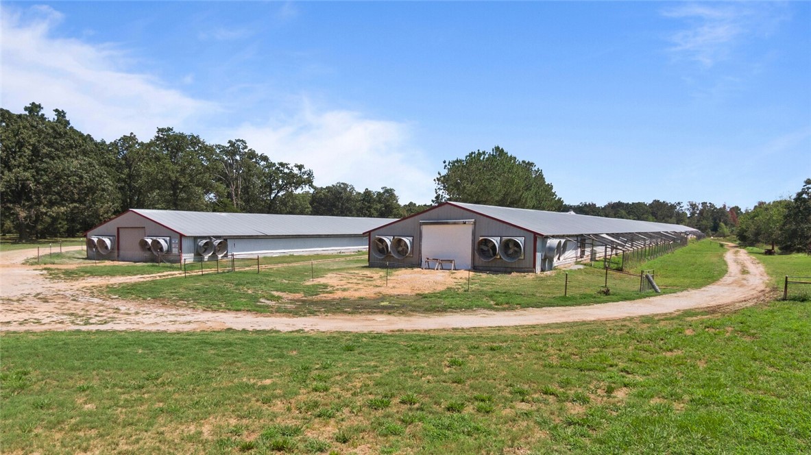 EGGS FOR DAYS - Farm