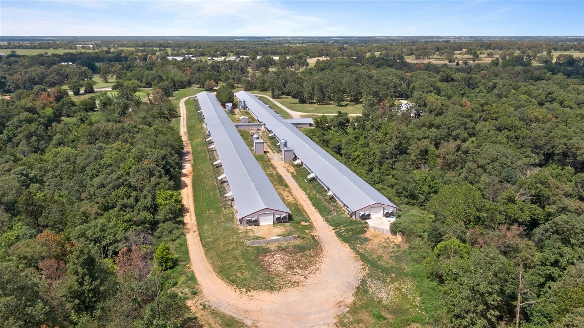 EGGS FOR DAYS - Farm