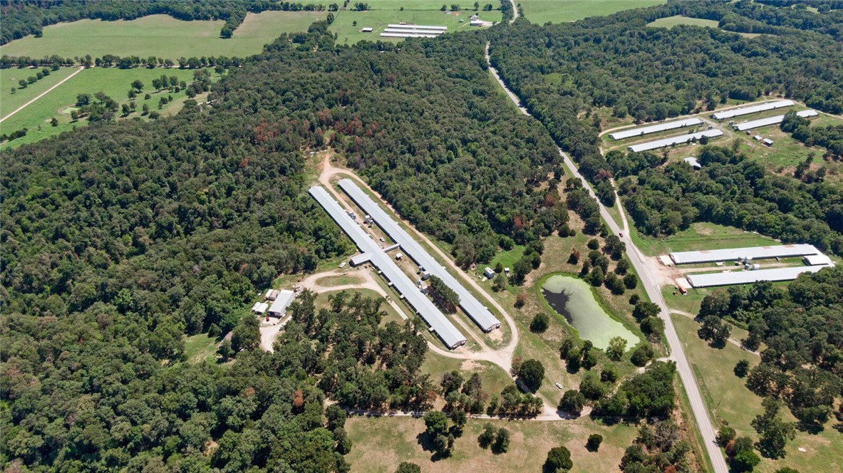 EGGS FOR DAYS - Farm