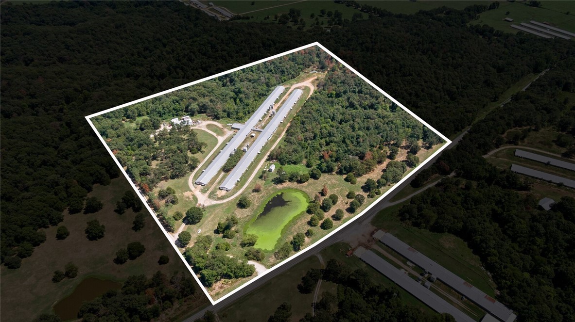 EGGS FOR DAYS - Farm