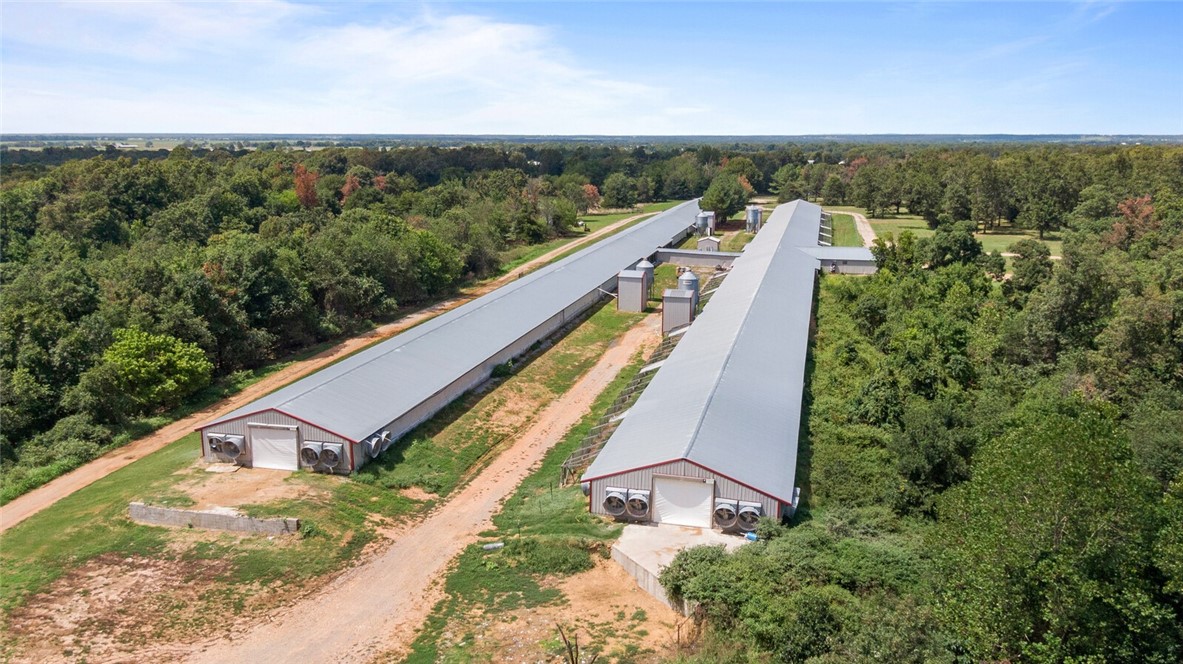 EGGS FOR DAYS - Farm