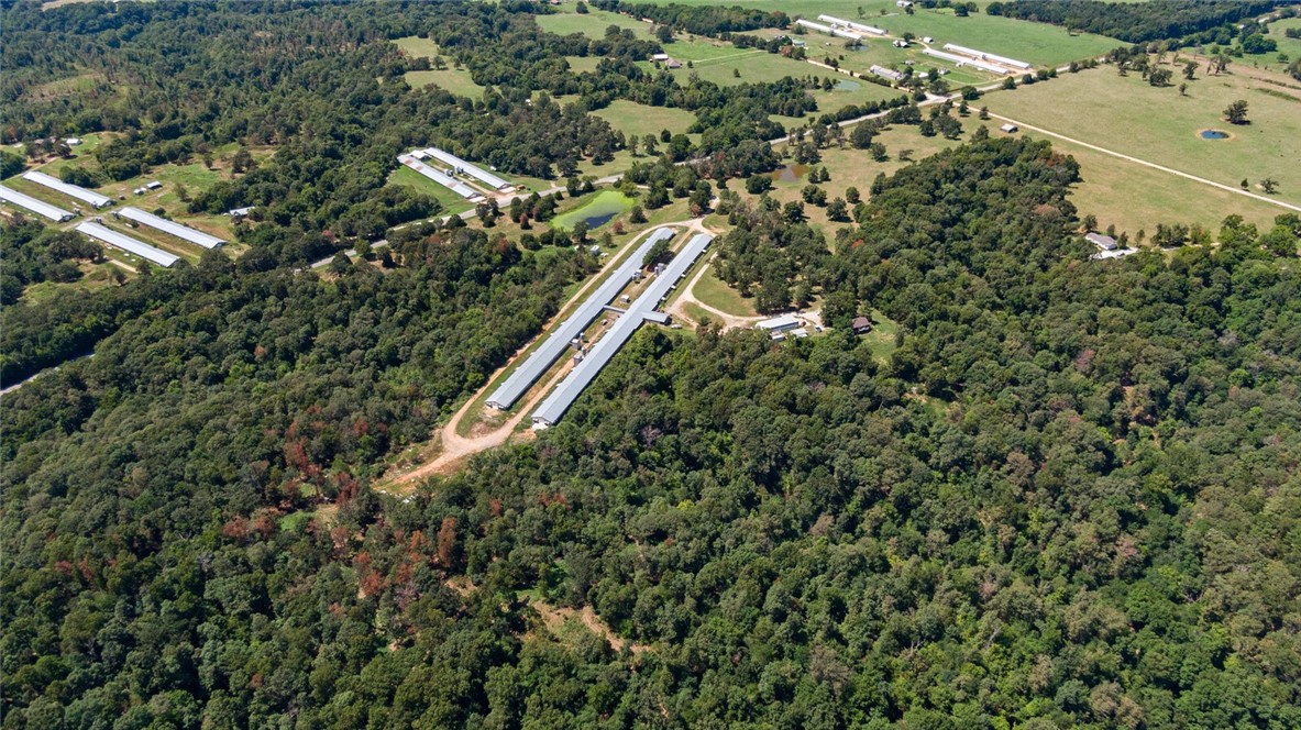 EGGS FOR DAYS - Farm