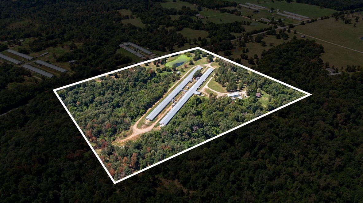 EGGS FOR DAYS - Farm