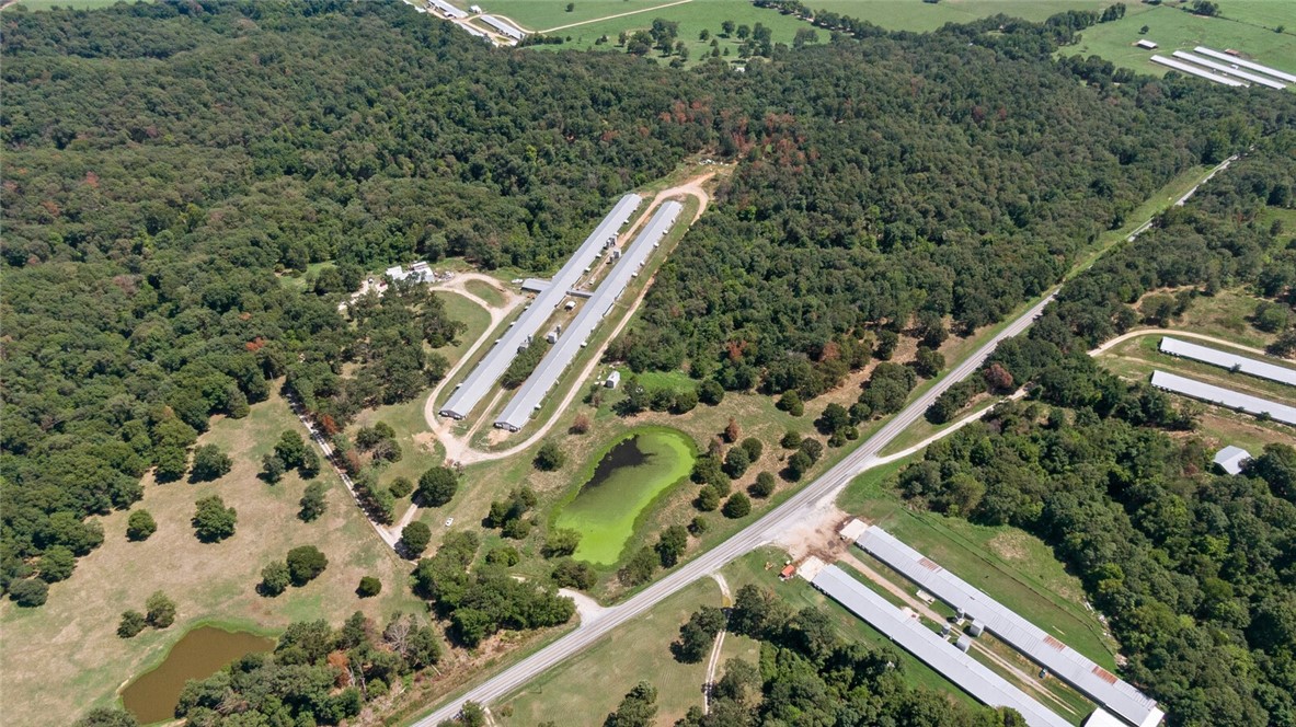 EGGS FOR DAYS - Farm