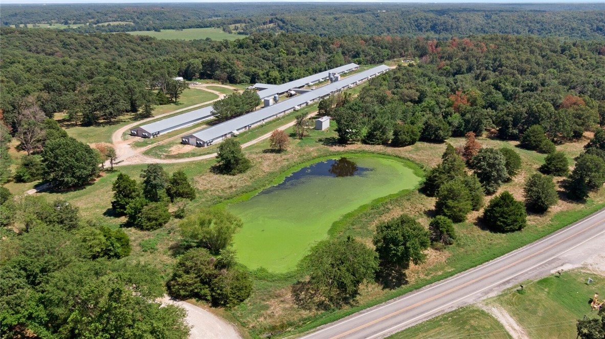 EGGS FOR DAYS - Farm