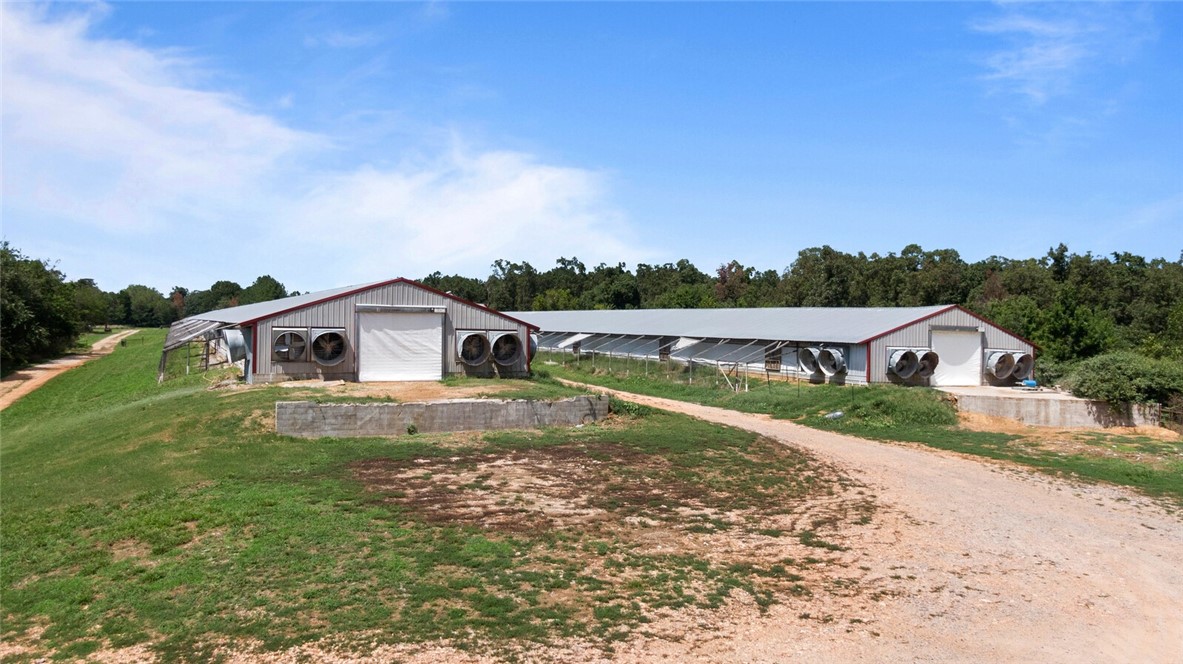 EGGS FOR DAYS - Farm