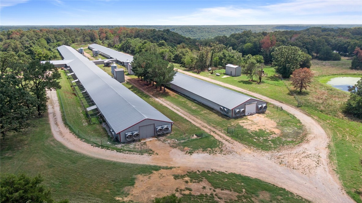 EGGS FOR DAYS - Farm