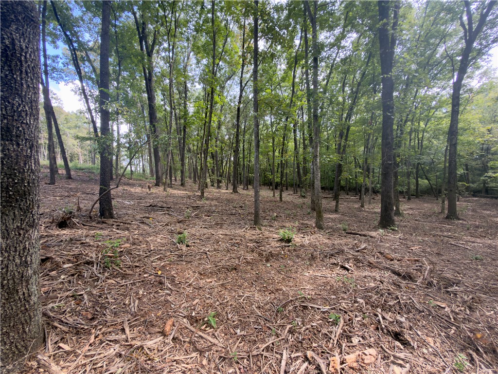 - - Land