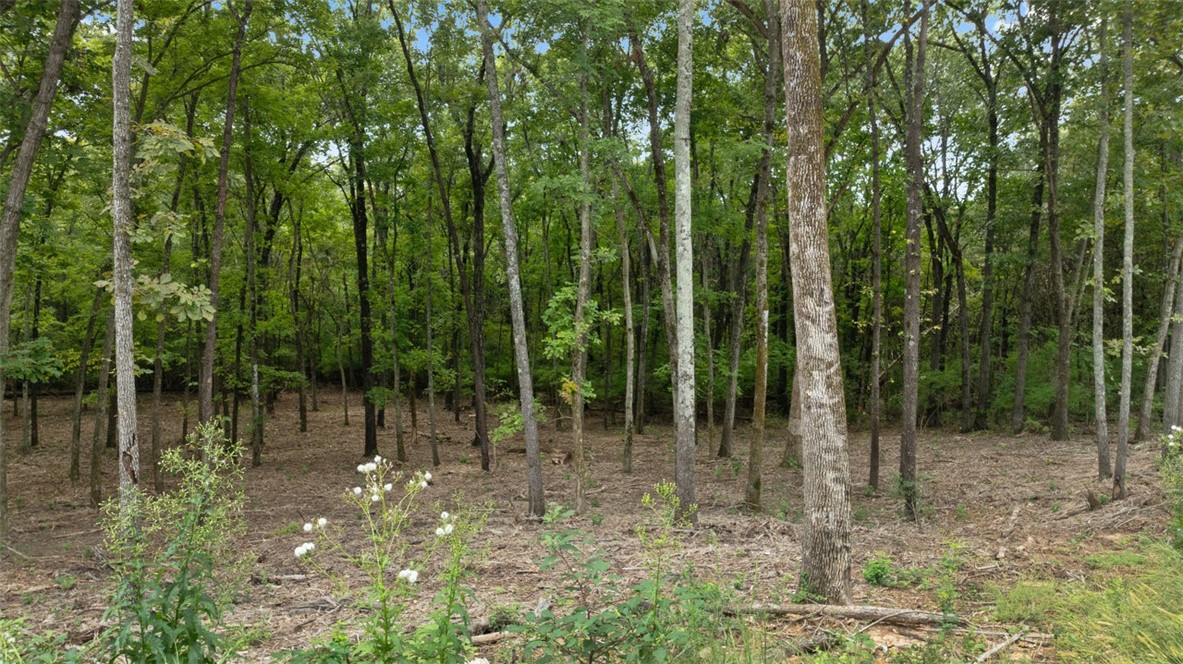 - - Land
