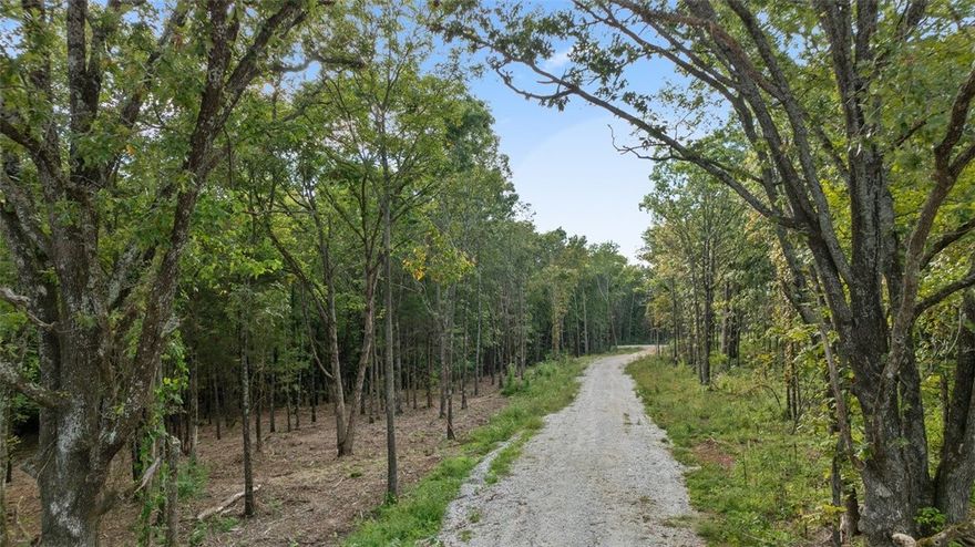 One of a kind, picturesque 11.5 Acres only 12 minutes to the University of Arkansas.  Ready for your dream home, barndumium or estate get-a-way.  You won't find this much acreage this close to Fayetteville for this price.  Public water, Ozark Go High Speed Internet and Ozark Electric all at the road ready for your build.  2 Beautiful new homes are currently under construction at adjacent lots.  This is your rare opportunity to have your own park like setting to grow your family, memories and Major Equity !