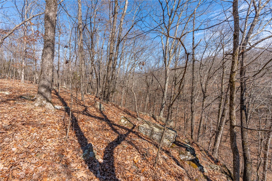 Collum West Ph V - Land