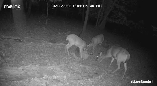 Collum West Ph V - Land