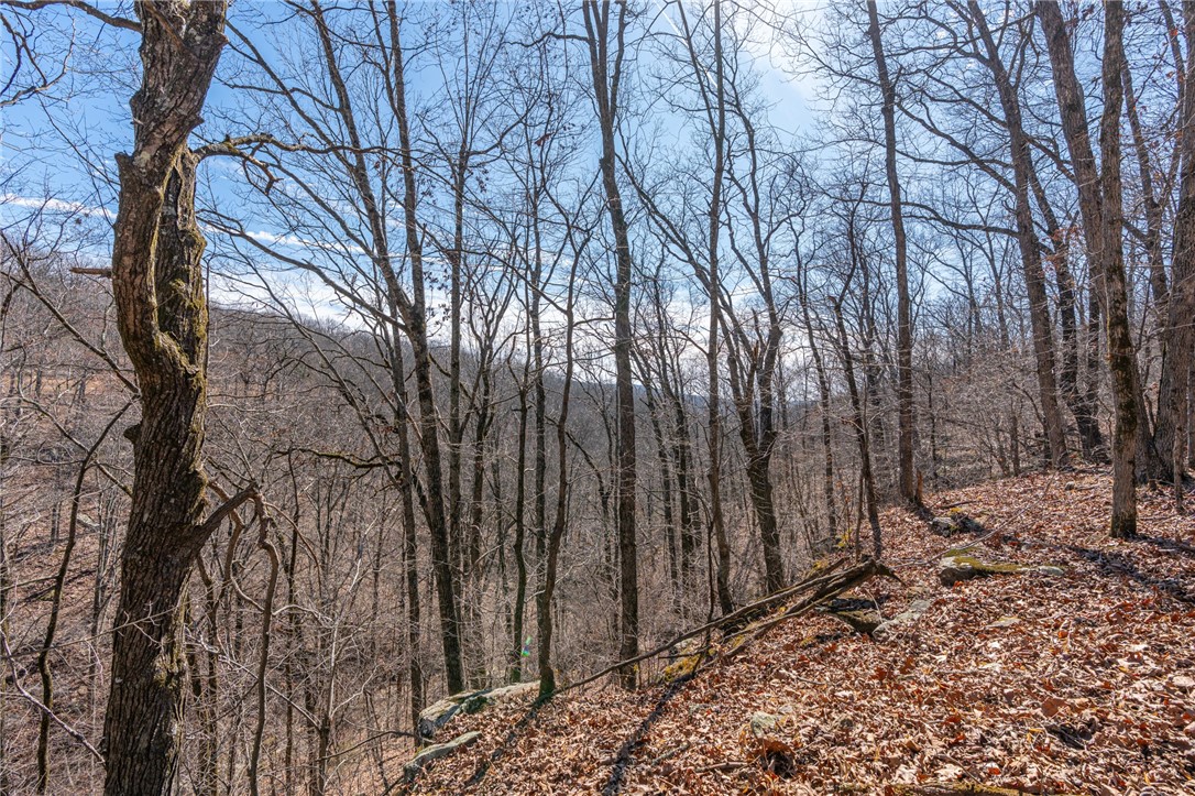 Collum West Ph V - Land