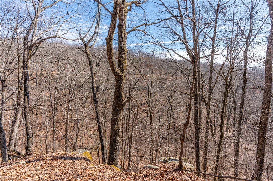 Collum West Ph V - Land