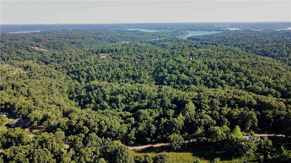 Build your Dream Home on these 5.1 peaceful, private, wooded acres located on a cul-de-sac in one of, if not the, nicest areas of Beaver Lake! Found in Posey Mountain Ranch Subdivision and a member of the Lost Bridge Village Community Associates, Lost Bridge Village, with all of its amenities, including boat dock and ramp are close by. Ventris Cove is less than 5 minutes on Lakeside and Rogers is only 10-15 minutes away! Water and electricity are at the street. Covenants /Restrictions are attachments to the listing or go to https://www.lbvca.com/. Click on Fast Access to LBV Document Page. Go to Governing Documents. Call for additional information including covenants and plat.