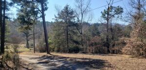 How would you like to have Mt Nebo in your backyard? 22 acres of pasture and woods mix. 3 bedroom 1 bath home with some of the house offering real hardwood floors. Fix it to reflect your own taste. Great hunting here with signs of deer all over. Several older outbuildings give this land some charm.