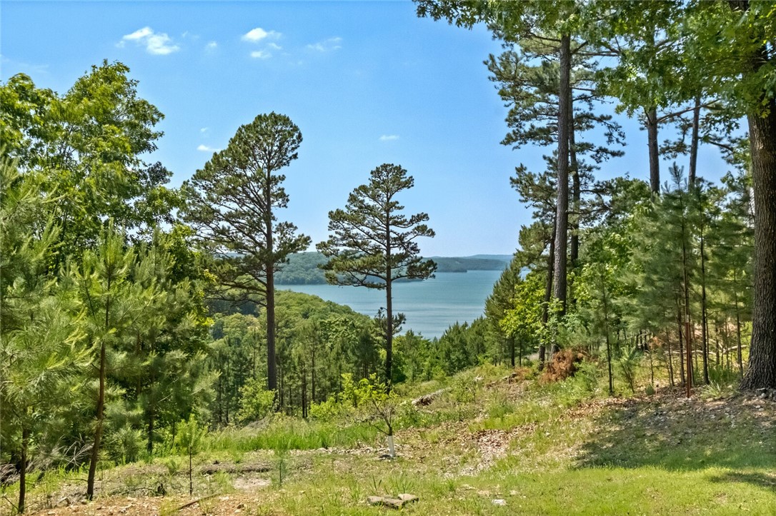 Timber Ridge - Residential