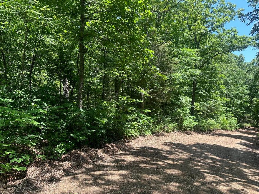 All wooded building lot with large mature hardwood timber. Great location with highway and gravel road frontage, less than 2 miles into Jasper and easy access to all the great attractions Newton County has to offer. More land available.