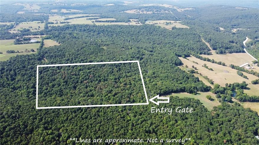 30 acres just off the hwy with public water, electric & fiber optic right at the gate. Just 8 miles from I-49 & less than 20 min from Fayetteville. Drive 1/4 mile from the hwy & you're at the gate to a property loaded with serious timber & lots of game. This is an excellent spot if you're looking to build a permanent home or weekend cabin in the woods & you don't want to be too far out. The access is super easy. Build just inside the gate or go further back for total seclusion. It's covered in dogwood trees. Want to open it up a little while producing some income? Mature timber throughout. Want a pond out back to fish in? A wet weather creek runs through the northern section making that a possibility with some work. The natural terrain sets up perfect for funneling game directly to this property, with a deep canyon in the back corner. It will be tough to find a more convenient place that holds bear & deer like this. You don't need a lot of land as they say, just the right piece of land. And this is it!