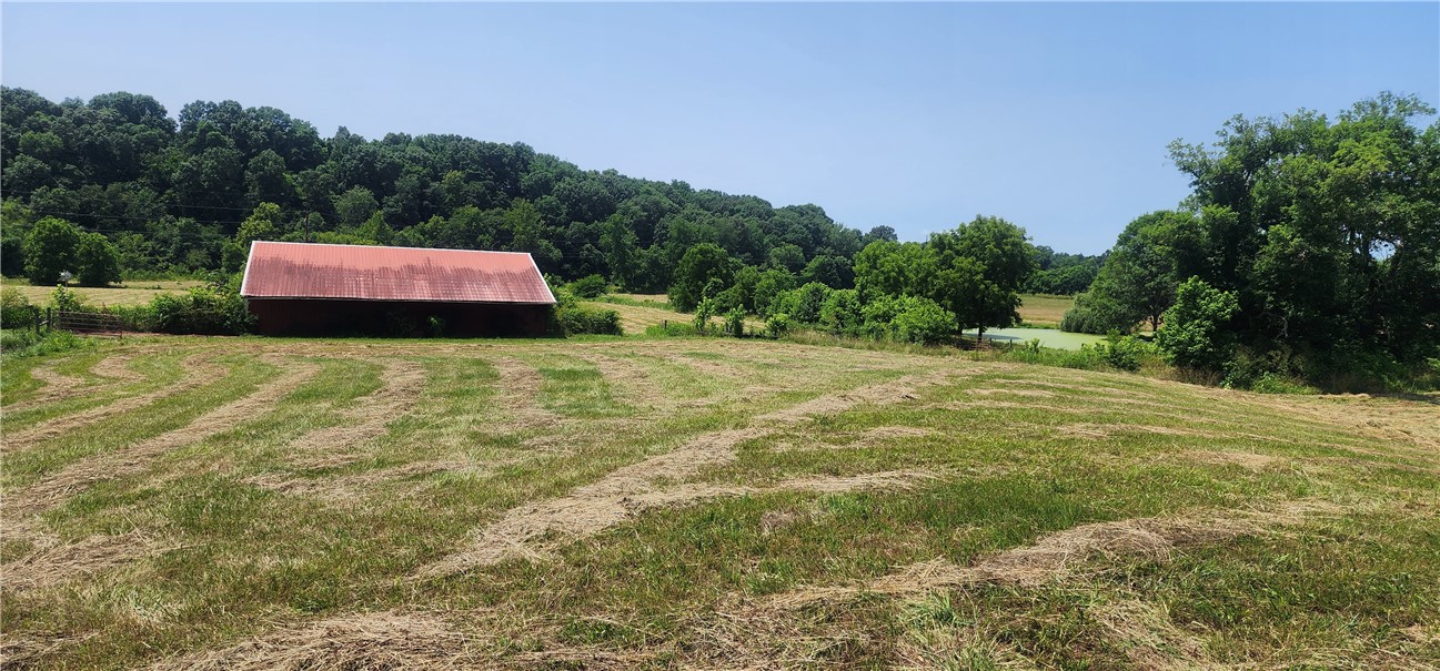 Rare find! 11.76 acres in the City of Elm Springs. Build your dream home on this gorgeous property. Electric, city water and sewer at road. The property features a spring fed pond for a little fishing on your down time. The 60 x 65 barn is perfect for a few farm items to keep the property pristene. Brush Creek runs through the back of the property. Back of property is partially in a flood plain. No singlewide, doublewide mobiles or modular homes. Buyer due diligence with the City of Elm Springs for any property concerns. Listing agent is 1/3 owner.
