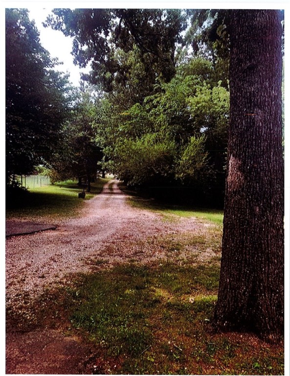 15-19-30-ROGERS - Land