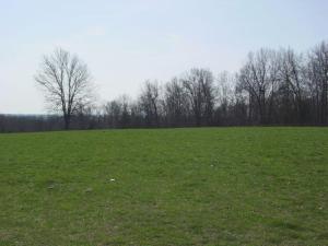 Twenty Acres located near Branson,MO & Harrison,AR. Build that dream cabin and bring the horses.Bull Shoals,Table Rock, and Lake Taneycomo are minutes away.NO commercial hog or poultry.NO mobile homes or junkyards.
