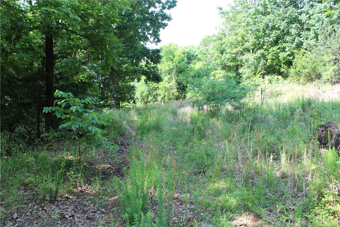 Photo 1 of 36 — Blue Mountain Rd, Prairie Grove, AR 72753